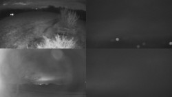 Sdružený snímek Bludný