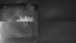 Sdružený snímek Bludný