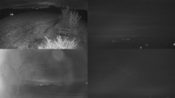 Sdružený snímek Bludný