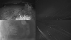 Sdružený snímek Bludný