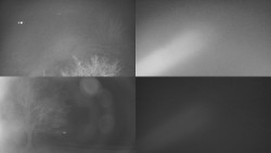 Sdružený snímek Bludný