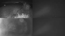 Sdružený snímek Bludný