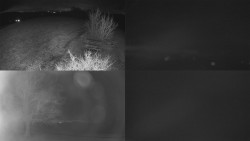 Sdružený snímek Bludný