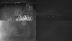 Sdružený snímek Bludný