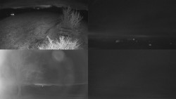 Sdružený snímek Bludný