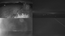 Sdružený snímek Bludný