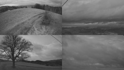 Sdružený snímek Bludný