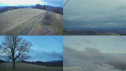 Sdružený snímek Bludný