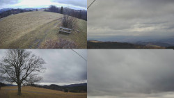 Sdružený snímek Bludný