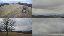 Sdružený snímek Bludný