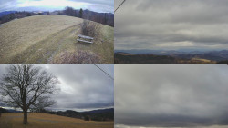 Sdružený snímek Bludný