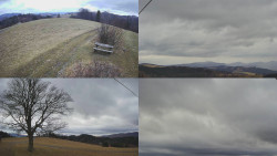 Sdružený snímek Bludný