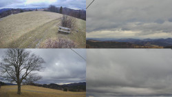 Sdružený snímek Bludný