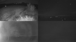 Sdružený snímek Bludný