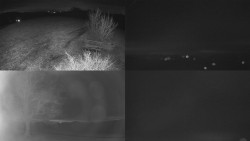 Sdružený snímek Bludný