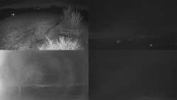 Sdružený snímek Bludný