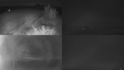 Sdružený snímek Bludný