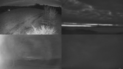 Sdružený snímek Bludný