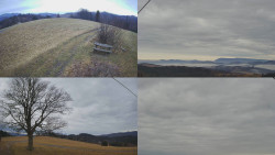 Sdružený snímek Bludný