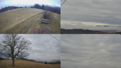 Sdružený snímek Bludný