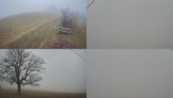 Sdružený snímek Bludný