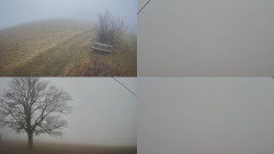 Sdružený snímek Bludný