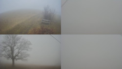 Sdružený snímek Bludný