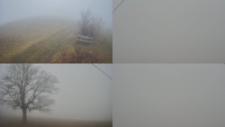 Sdružený snímek Bludný