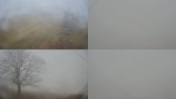 Sdružený snímek Bludný