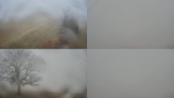 Sdružený snímek Bludný