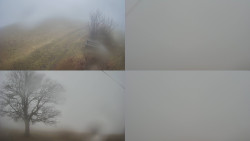 Sdružený snímek Bludný