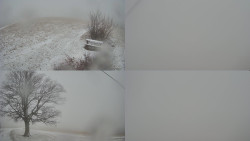 Sdružený snímek Bludný