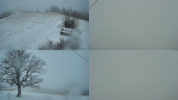 Sdružený snímek Bludný