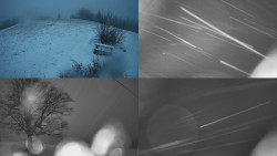 Sdružený snímek Bludný