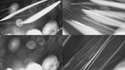 Sdružený snímek Bludný