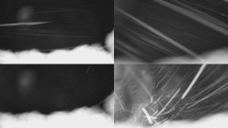 Sdružený snímek Bludný