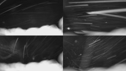 Sdružený snímek Bludný