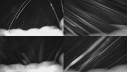 Sdružený snímek Bludný