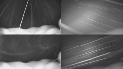 Sdružený snímek Bludný