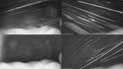 Sdružený snímek Bludný