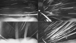 Sdružený snímek Bludný