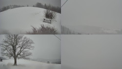 Sdružený snímek Bludný