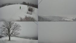 Sdružený snímek Bludný