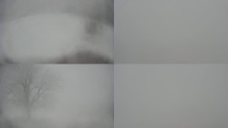 Sdružený snímek Bludný