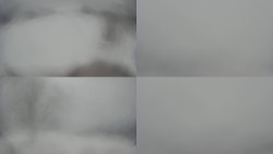 Sdružený snímek Bludný