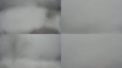 Sdružený snímek Bludný