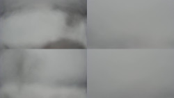 Sdružený snímek Bludný