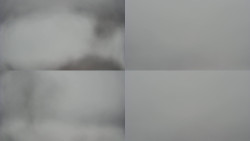 Sdružený snímek Bludný