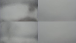 Sdružený snímek Bludný