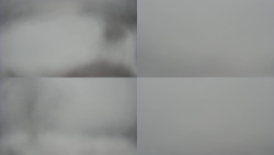 Sdružený snímek Bludný